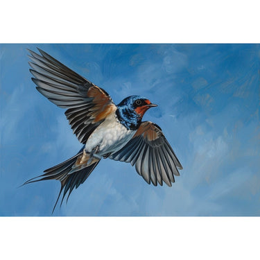 Swallow Bird Canvas